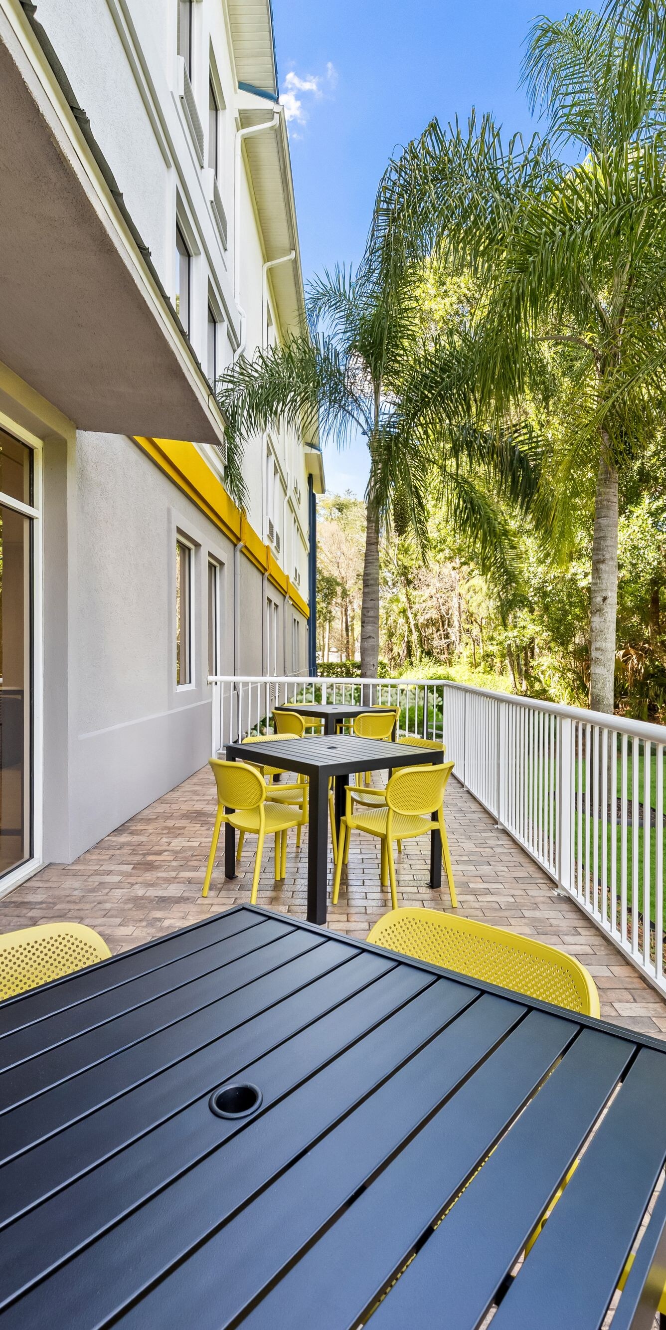 Patio seating with yellow chairs and palms