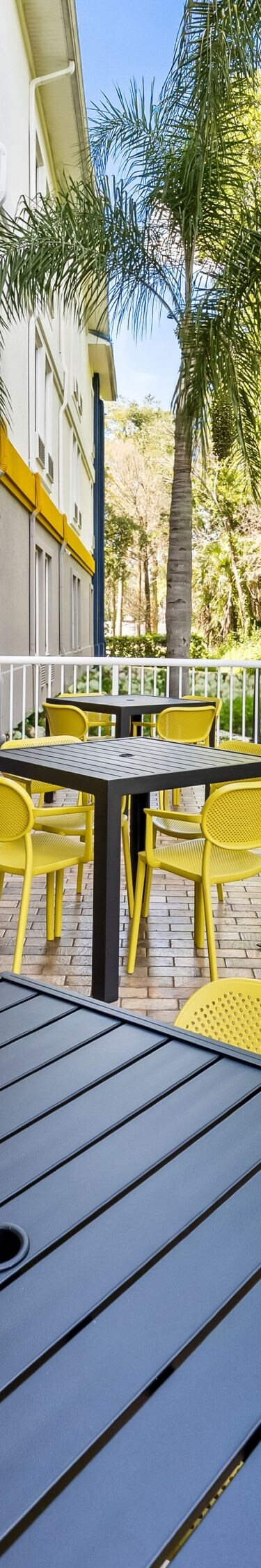 Patio seating with yellow chairs and palms