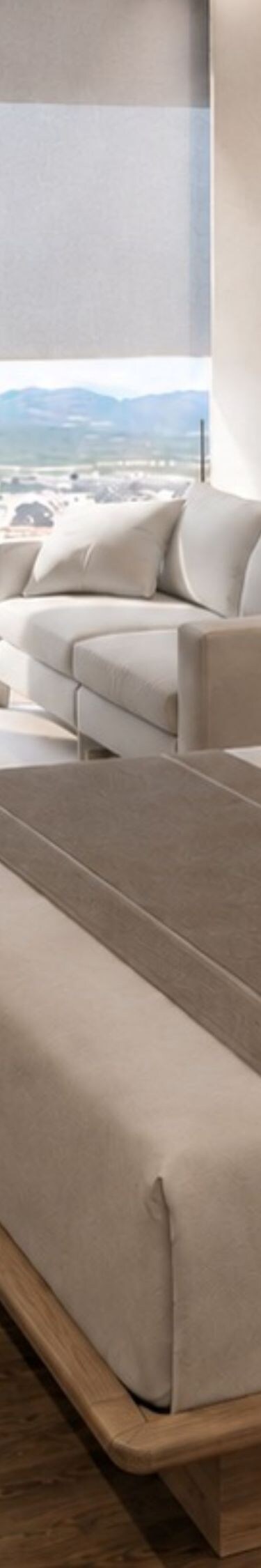 Suite, cama, televisor, muebles