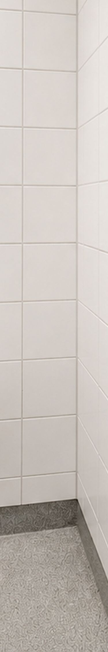Moderne badeværelse med bruser og toilet