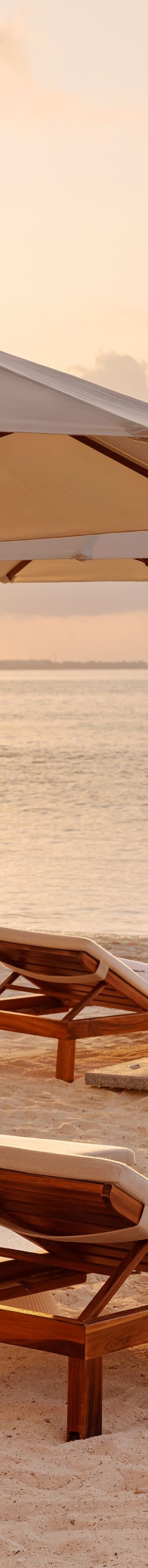 Sillas reclinables frente a la playa con sombrillas