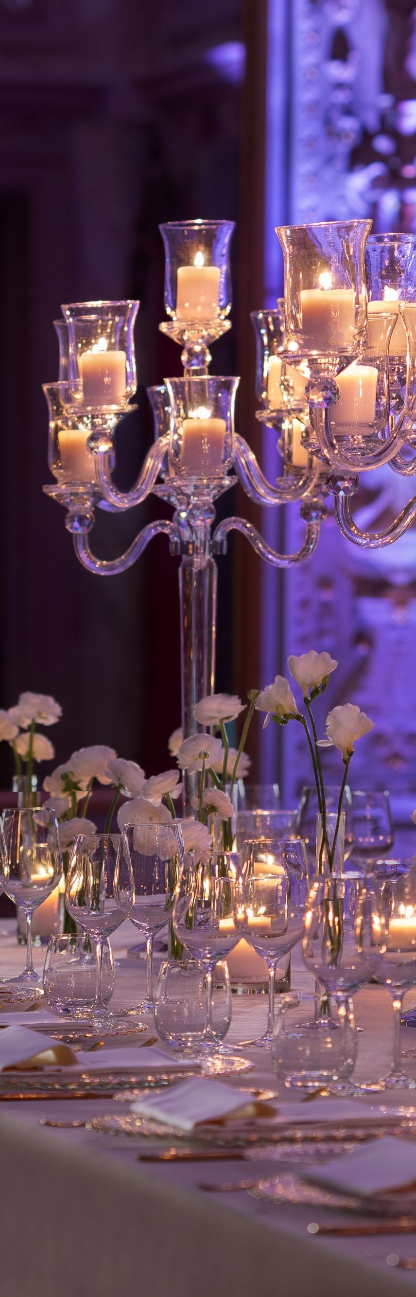salone delle feste – evento, reunião, banquete, recepção