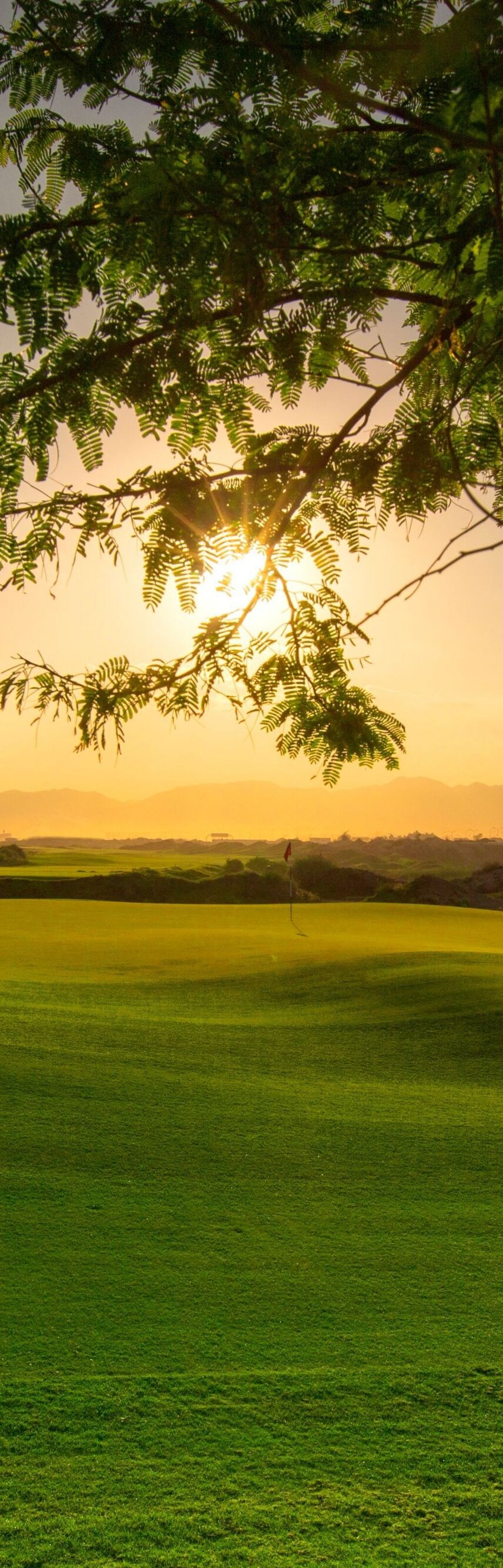 Seaside championship golf landscape