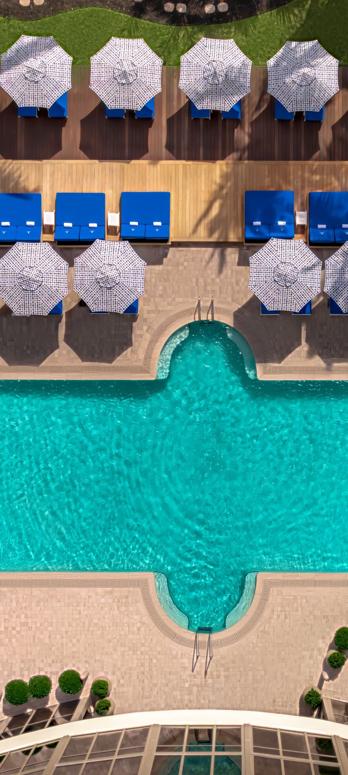 Top view of pool with loungers