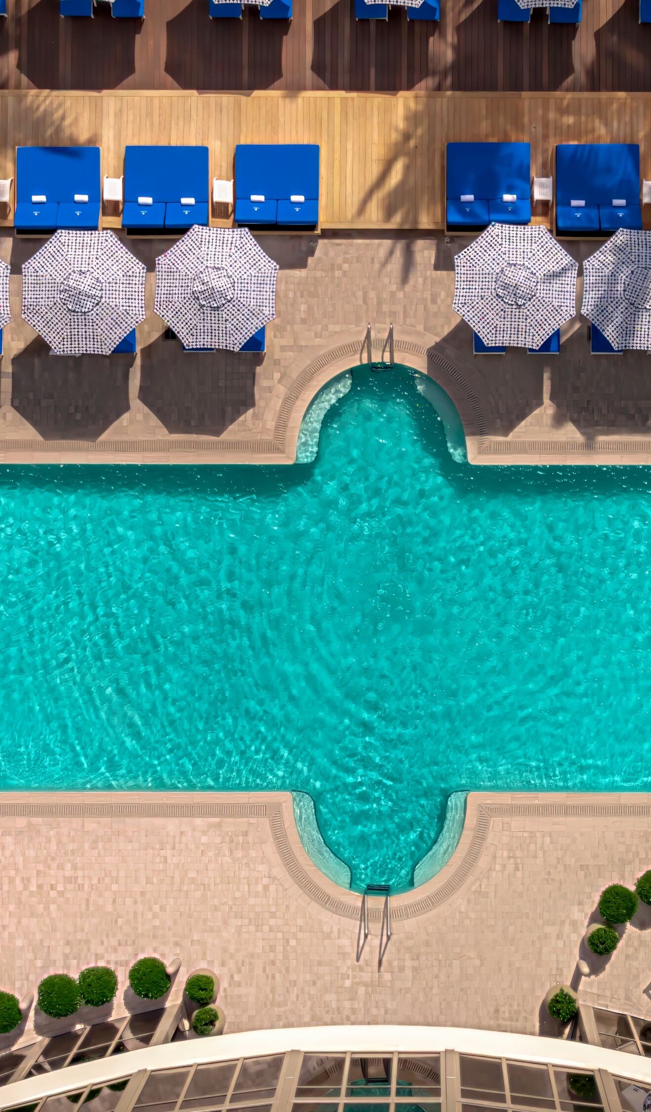 Top view of pool with loungers