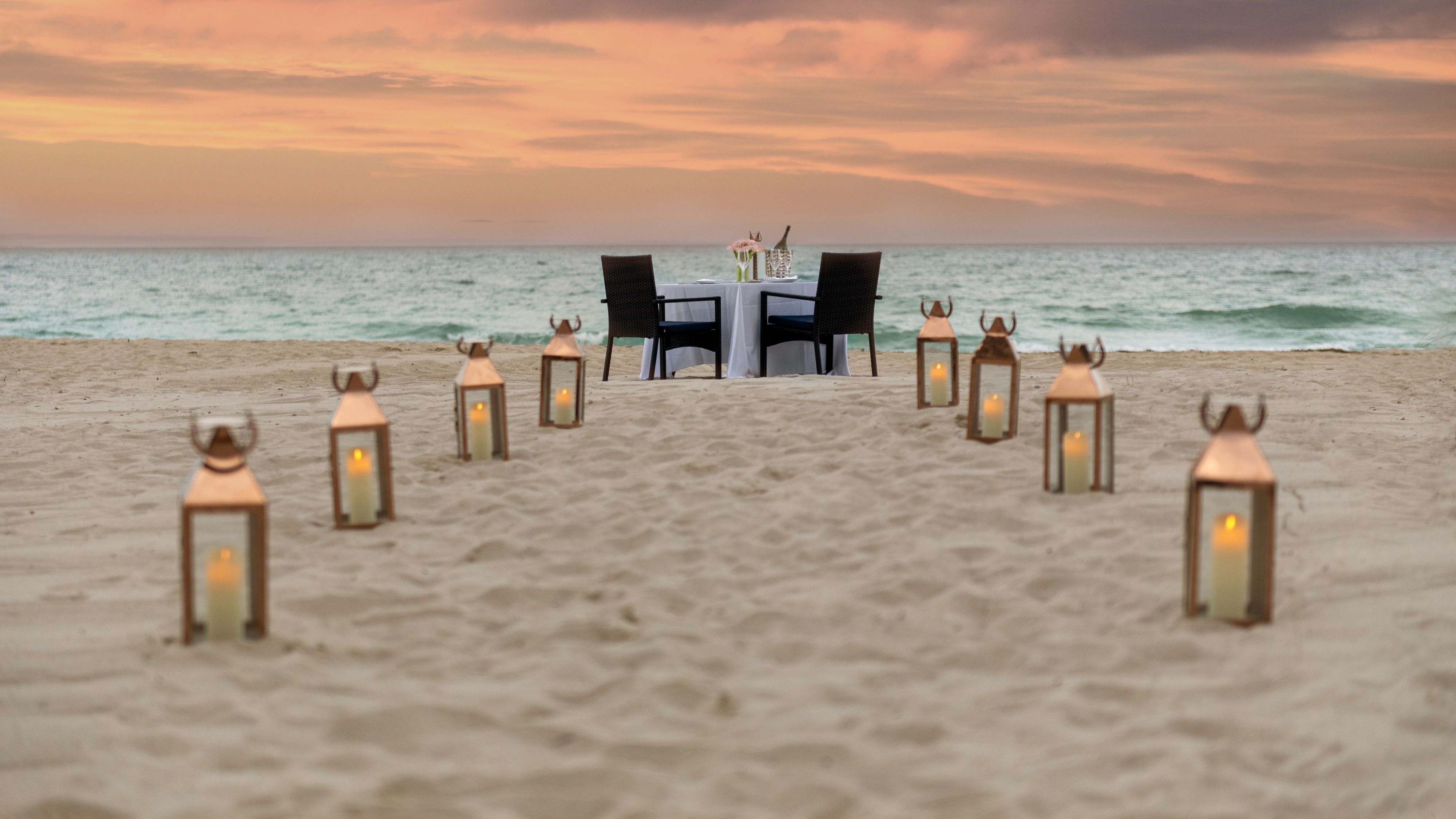 Dinner Under the Stars