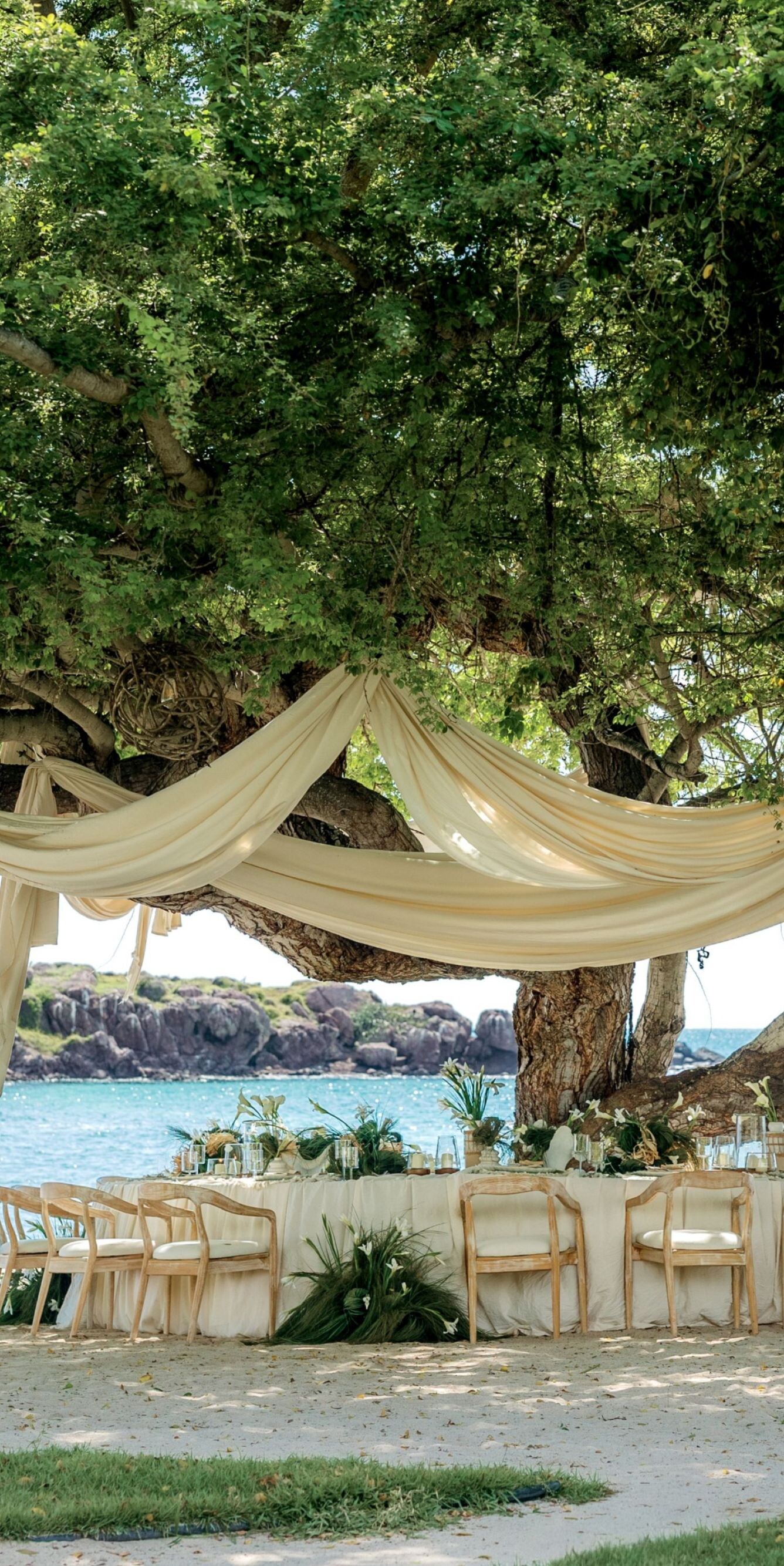Beach wedding setup under tree with ocean