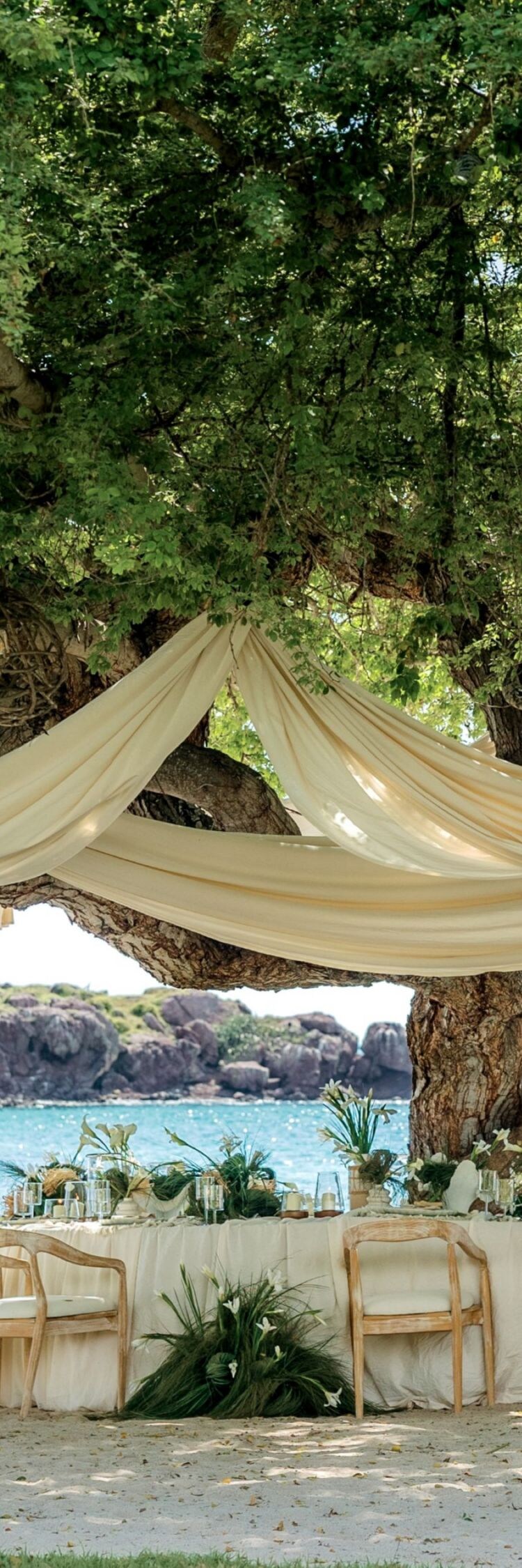 Beach wedding setup under tree with ocean