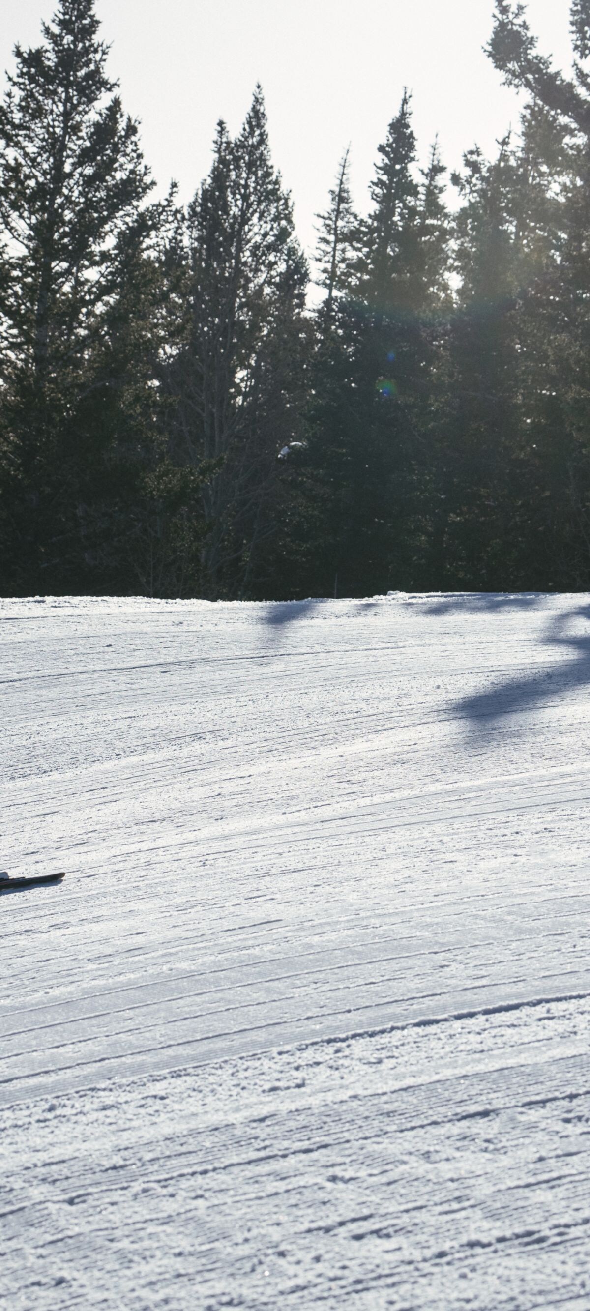 A child skis down the mountain