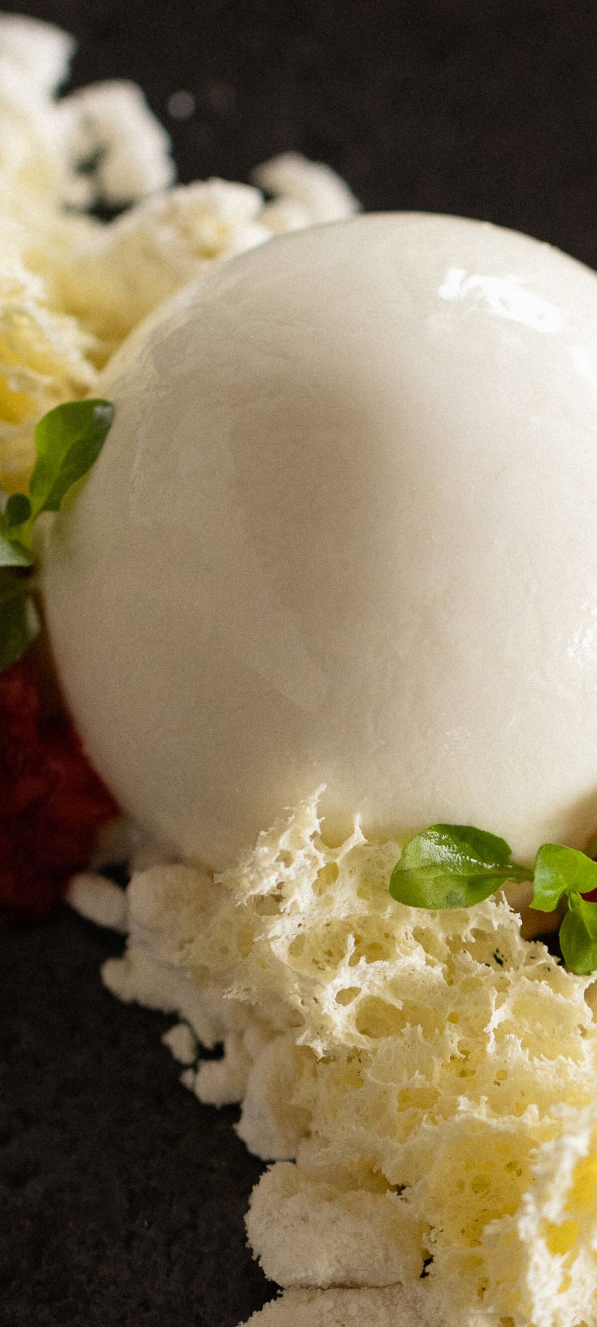 Festive desserts longboat key florida