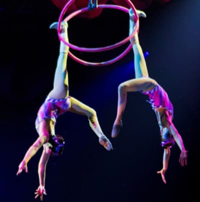 acrobats suspended from a hoop in the air