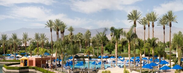 Palm trees and umbrellas line the pool at a resort in Palm Springs, California