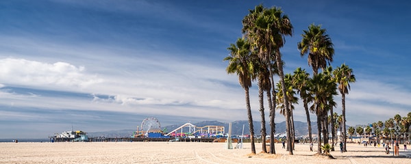 Palm trees blow in the wind on the beach in Los Angeles, California