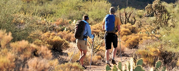 Hikers with walking sticks and backpacks hiking through the Sonoran Desert in Phoenix.