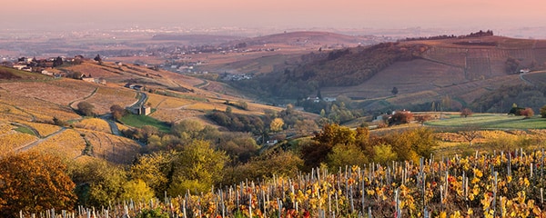 The sun sets behind the rolling hills of vineyard in wine country in France