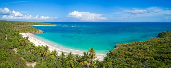 La isla Vieques en Puerto Rico, con exuberantes playas y encantos submarinos