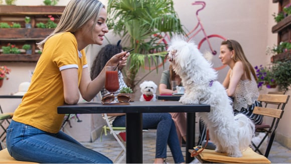 Un perro apoya sus patas en la mesa de un café frente a su dueño.