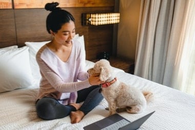 Cute dog relaxes on the bed with their owner in a Residence Inn suite.