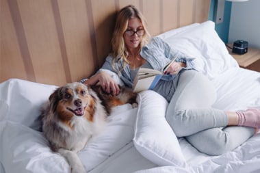 Un perro feliz y su dueño se relajan en una cómoda cama del hotel.