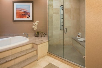 VIP Suite - Bathroom