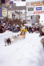 Iditarod Great Sled Race