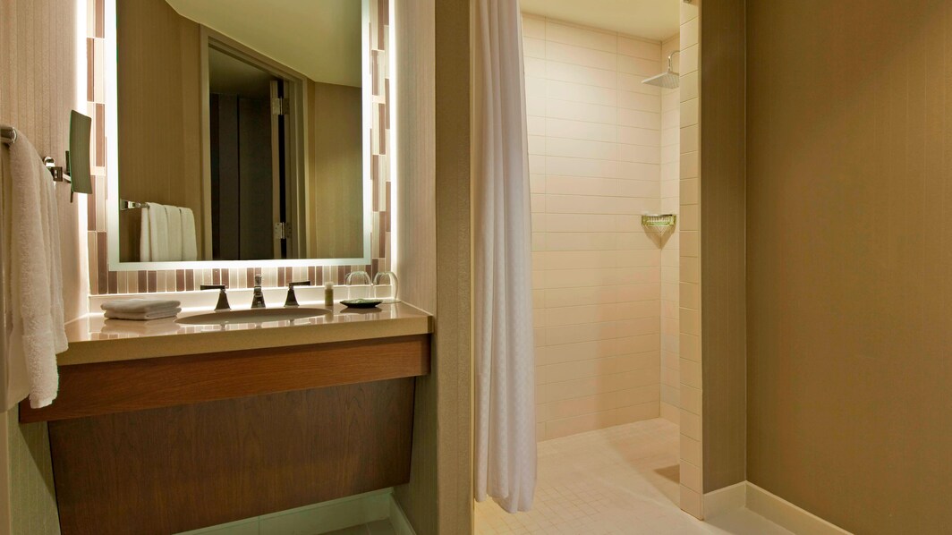 Ванная комната для гостей с ограниченными возможностями в номере Traditional с двуспальной кроватью (Queen)