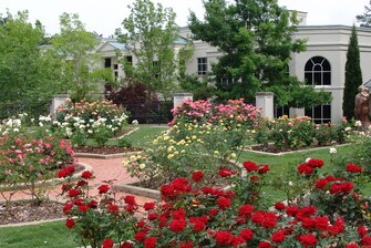 Dunn Formal Rose Garden