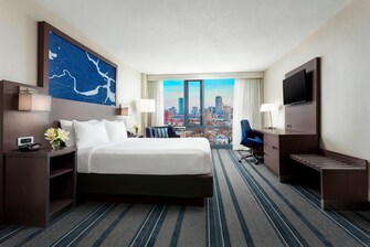 Deluxe King Guest Room - City View