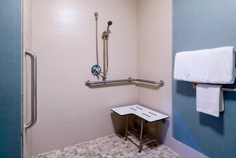 Accessible Suite Bathroom – Shower