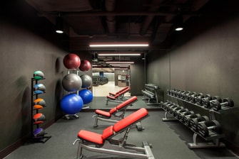 WestinWorkOUT Fitness Studio Free weights