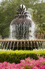 Hospitality Fountain