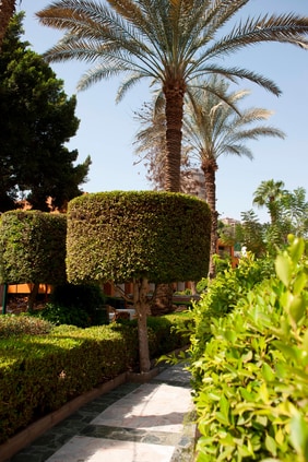 Cairo Marriott Hotel Gardens