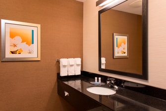 hotels in Chicago IL