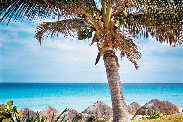 Local beach in Cancun Mexico