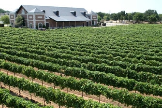 Grapevine Texas Wineries