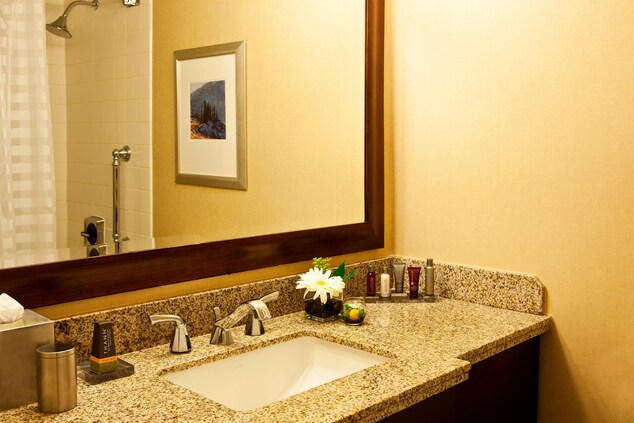 Golden, CO, Hotel Guest Bathroom	