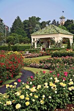 The Hershey Gardens