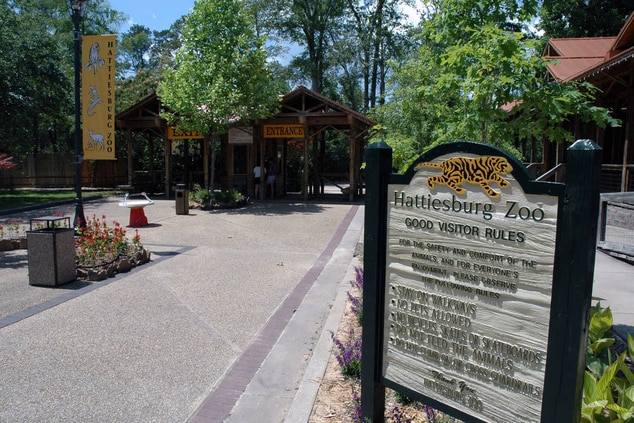 Hattiesburg Zoo – Hattiesburg Courtyard