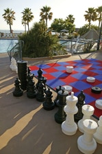Giant Chess Checker Board