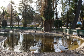 Parks in Guadalajara