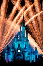 Magic Kingdom® Castle Feuerwerk