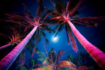 Miami de noche