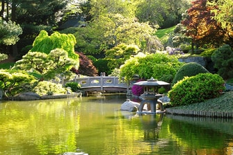 View of Brooklyn Botanic Garden