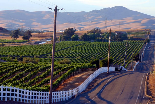 Livermore valley wine growing