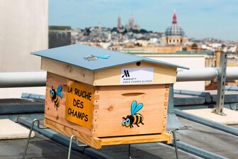 Ruche d'abeilles de l'hôtel de Paris