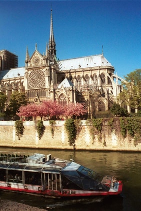 Paris Notre Dame Cathedral, France