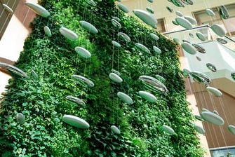 Green Living Wall