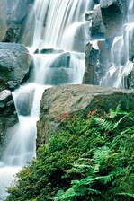 Waterfall Park Seattle