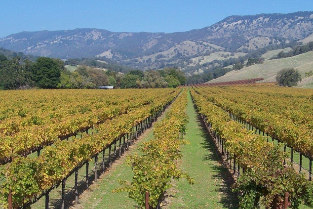Wine, California wine, Fairfield wineries