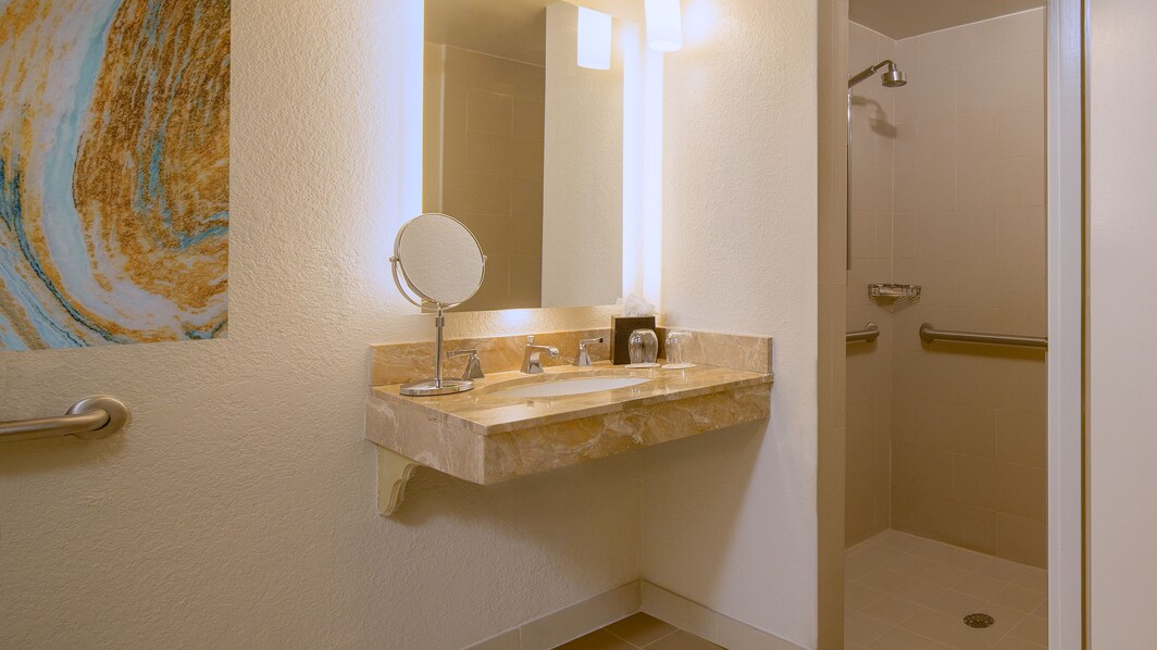 Accessible Guest Room Bath